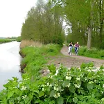 The Rosendale