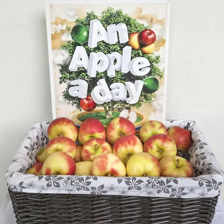 The Rosendale Hotel Roosendaal