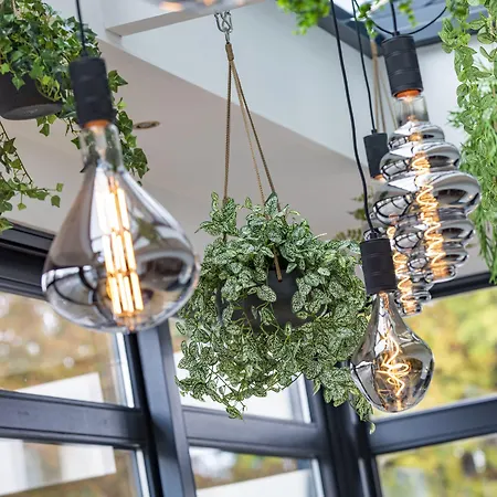 The Rosendale Roosendaal