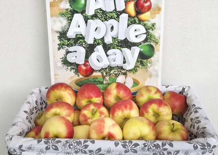 The Rosendale Отель Розендал