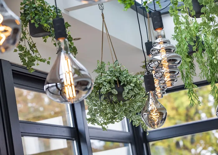 The Rosendale Розендал